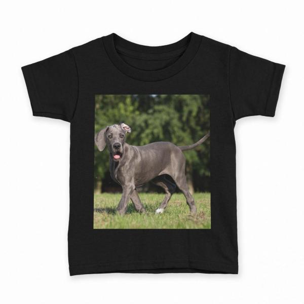 tVc LbY  n ubN fUC 90 100 110 120 130 140 150 TVc eB[Vc T shirt @@ʐ^ 002584