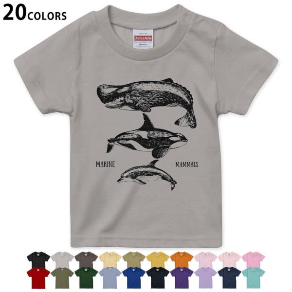 Iׂ20J[ tVc LbY  fUC 90 100 110 120 130 140 150 160 TVc eB[Vc T shirt 015819  @@V`