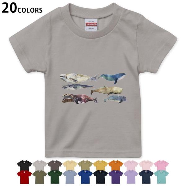 Iׂ20J[ tVc LbY  fUC 90 100 110 120 130 140 150 160 T shirt 015833  @C@@V`