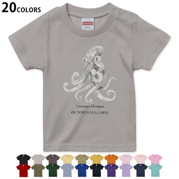 �I�ׂ�20�J���[ t�V���c �L�b�Y ���� �f�U�C�� 90 100 110 120 130 140 150 160 T�V��hirt 019730 �f�U�C�� �C�̐��� �^�R octopus