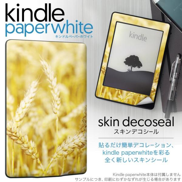 kindle paperwhite �L���h�� �y�[�p�[�z���C�g �^�u���b�g �d�q���� ��p�X�L���V�[�� ���\2���Z�b�g �f�R �ʐ^�@�H�@�i�F