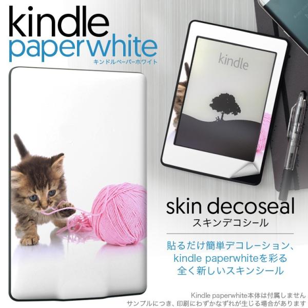 kindle paperwhite �L���h�� �y�[�p�[�z���C�g �^�u���b�g �d�q���� ��p�X�L���V�[�� ���\2���Z�b�g �f�R �L�@�����@�ʐ^