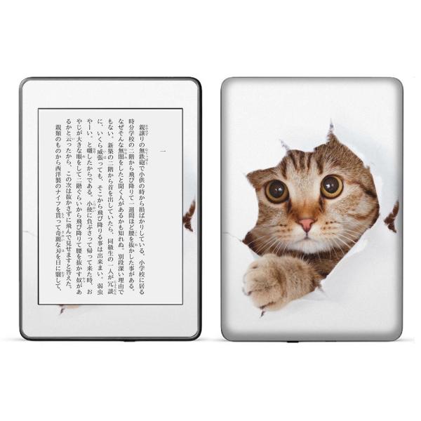 kindle paperwhite 4p kindle10 Lh y[p[zCg ^ubg XLV[ \2  L@@ʐ^ 002783