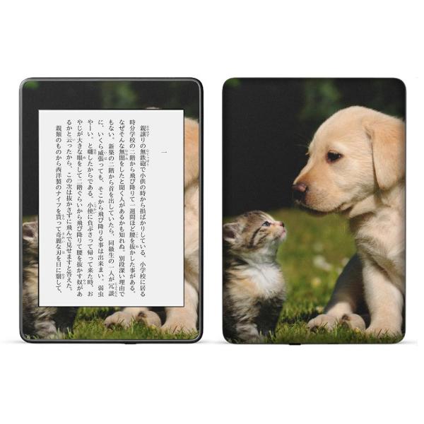 kindle paperwhite 4p kindle10 Lh y[p[zCg ^ubg XLV[ \2  @L@@ʐ^ 002794