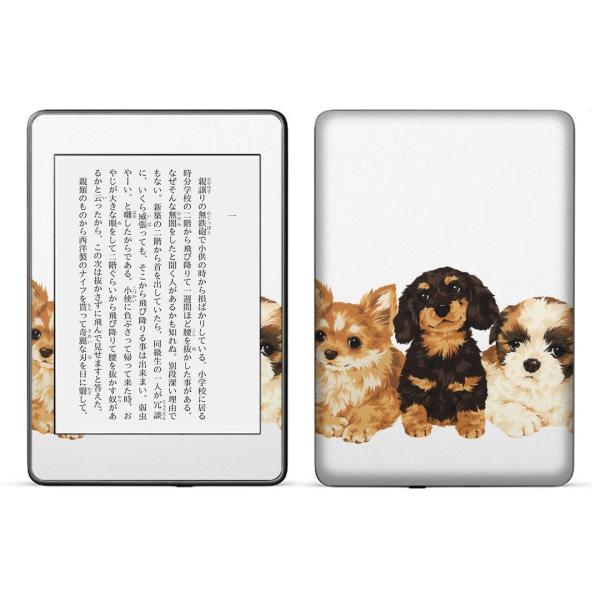 kindle paperwhite 4p kindle10 Lh y[p[zCg ^ubg XLV[ \2  @@CXg 005734