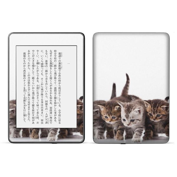 kindle paperwhite 4p kindle10 Lh y[p[zCg ^ubg XLV[ \2  ʐ^@@L@˂ 005928
