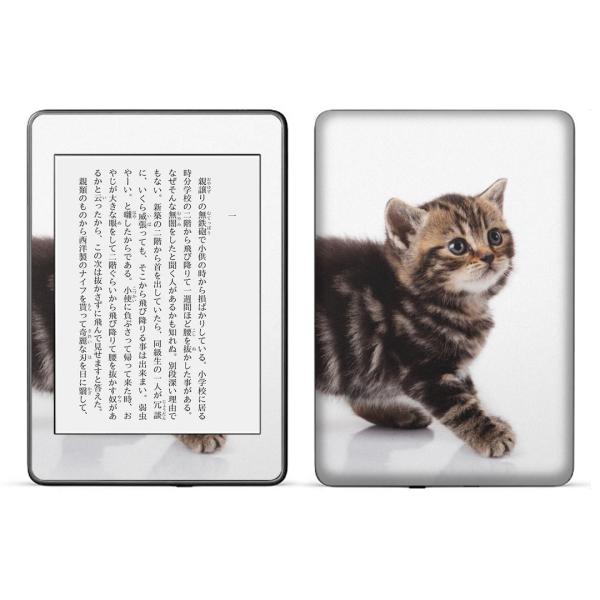 kindle paperwhite 4p kindle10 Lh y[p[zCg ^ubg XLV[ \2  ʐ^@@L@˂ 005930