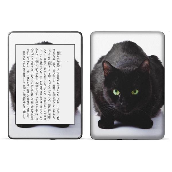 kindle paperwhite 4p kindle10 Lh y[p[zCg ^ubg XLV[ \2  ʐ^@@˂@L 005958