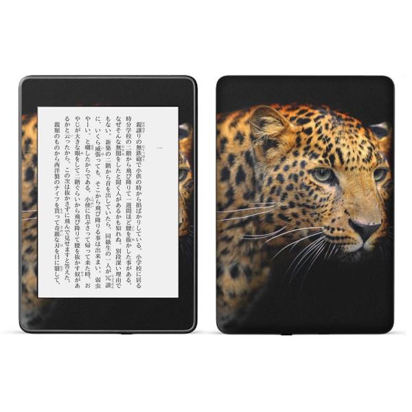 kindle paperwhite 4p kindle10 Lh y[p[zCg ^ubg XLV[ \2  ʐ^@@qE 006775