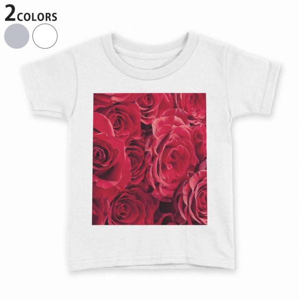 tVc LbY  n DF zCg O[ fUC 110 120 130 140 150 TVc eB[Vc T shirt  o@ԁ@ԑ 000124