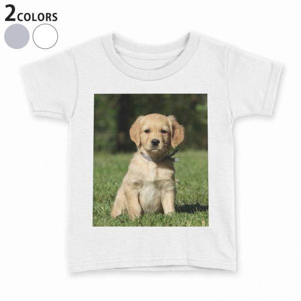 t�V���c �L�b�Y ���� ���n �D�F �z���C�g �O���[ �f�U�C�� 110 120 130 140 150 T�V���c �e�B�[�V���c T shirt  ���@�����@�ʐ^ 002580