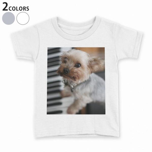 tVc LbY  n DF zCg O[ fUC 110 120 130 140 150 TVc eB[Vc T shirt  @ʐ^@sAm 004565