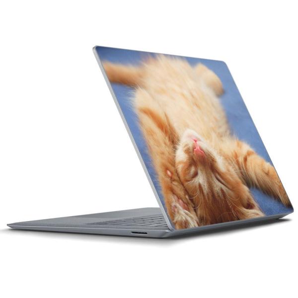 Surface Laptop bvgbvpXLV[ Microsoft T[tFX T[tBX m[gp\R Jo[  L@@ʐ^ 002759