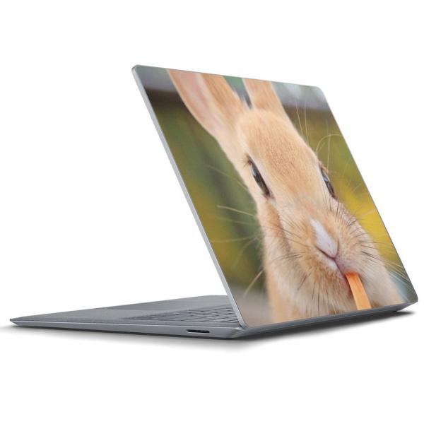 Surface Laptop bvgbvpXLV[ Microsoft T[tFX T[tBX m[gp\R Jo[  @@ʐ^ 002807