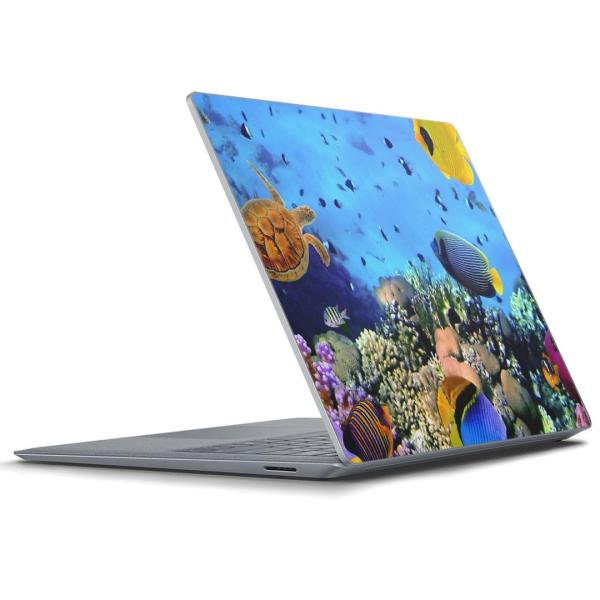 Surface Laptop bvgbvpXLV[ Microsoft T[tFX T[tBX m[gp\R Jo[  C@ʐ^@Jt 002823