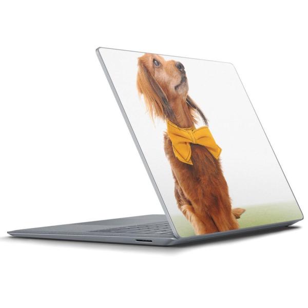 Surface Laptop bvgbvpXLV[ Microsoft T[tFX T[tBX m[gp\R Jo[  @@ʐ^ 002852