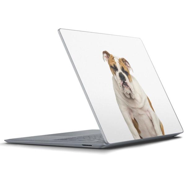 Surface Laptop ���b�v�g�b�v��p�X�L���V�[�� Microsoft �T�[�t�F�X �T�[�t�B�X �m�[�g�p�\�R�� �J�o�[  ���@�����@�ʐ^ 002883