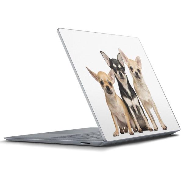 Surface Laptop bvgbvpXLV[ Microsoft T[tFX T[tBX m[gp\R Jo[  @@ʐ^ 002885