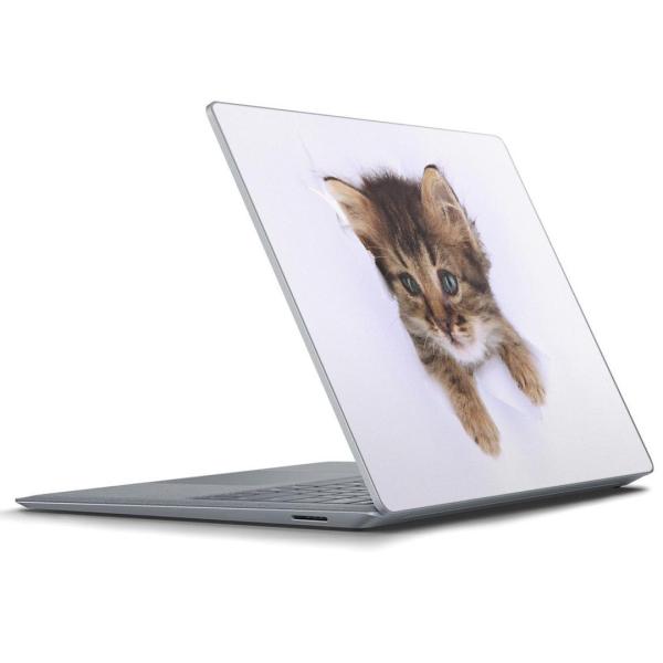 Surface Laptop ���b�v�g�b�v��p�X�L���V�[�� Microsoft �T�[�t�F�X �T�[�t�B�X �m�[�g�p�\�R�� �J�o�[  �L�@�����@�ʐ^ 002892