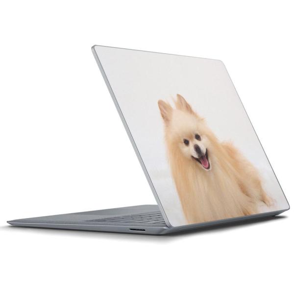 Surface Laptop bvgbvpXLV[ Microsoft T[tFX T[tBX m[gp\R Jo[  @@ʐ^ 002912