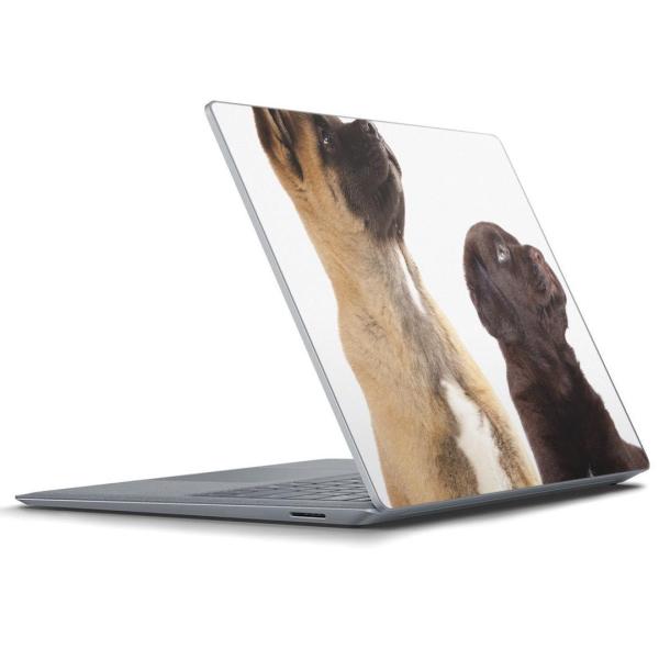 Surface Laptop ���b�v�g�b�v��p�X�L���V�[�� Microsoft �T�[�t�F�X �T�[�t�B�X �m�[�g�p�\�R�� �J�o�[  �ʐ^�@���@�L 008364