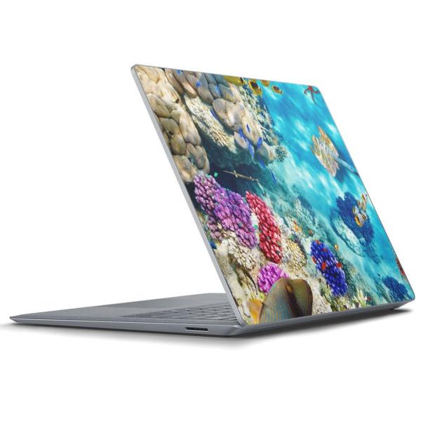 Surface Laptop bvgbvpXLV[ Microsoft T[tFX T[tBX m[gp\R Jo[  ʐ^@@C@X 008923