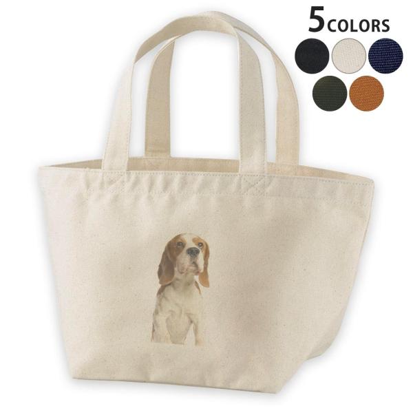 fUC`obO LoX fCpbN obO fB[XobO g[gobO i`   black  @r[O 001147