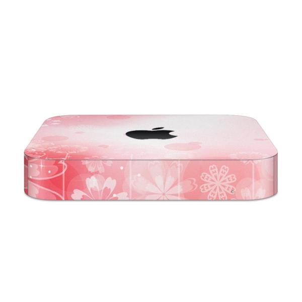 igsticker Mac mini 2018 ��p �}�b�N�~�j �f�U�C���X�L���V�[�� �t�� �X�e�b�J�[ �A�N�Z�T���[ �ی�V�[��  �ԁ@�t�����[�@�s���N 001997