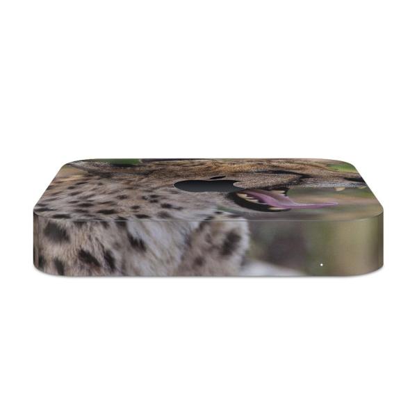 igsticker Mac mini 2018 ��p �}�b�N�~�j �f�U�C���X�L���V�[�� �t�� �X�e�b�J�[ �A�N�Z�T���[ �ی�V�[��  �����@�ʐ^�@�^ 002582