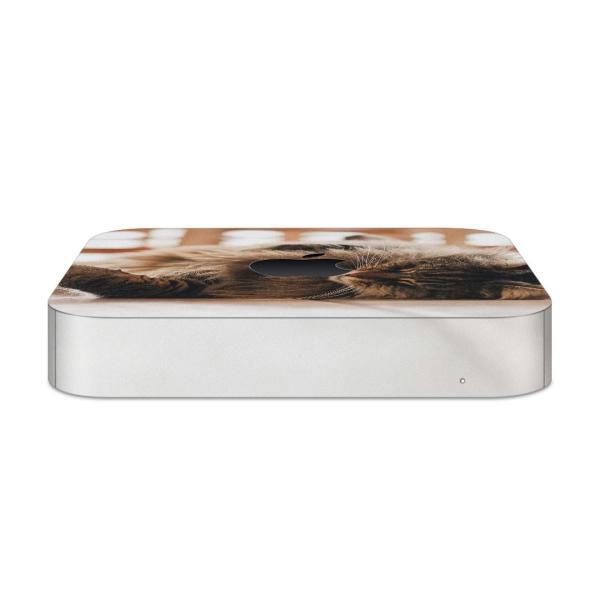 igsticker Mac mini 2018 p }bN~j fUCXLV[ t XebJ[ ANZT[ یV[  L@@ʐ^ 002601