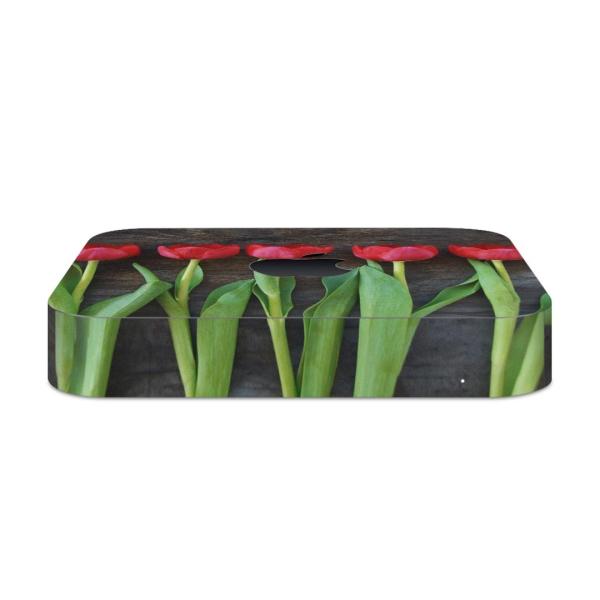 igsticker Mac mini 2018 ��p �}�b�N�~�j �f�U�C���X�L���V�[�� �t�� �X�e�b�J�[ �A�N�Z�T���[ �ی�V�[��  �ԁ@�`���[���b�v�@�ʐ^ 002731