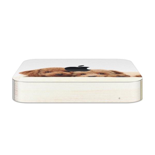 igsticker Mac mini 2018 ��p �}�b�N�~�j �f�U�C���X�L���V�[�� �t�� �X�e�b�J�[ �A�N�Z�T���[ �ی�V�[��  ���@�����@�ʐ^ 002770