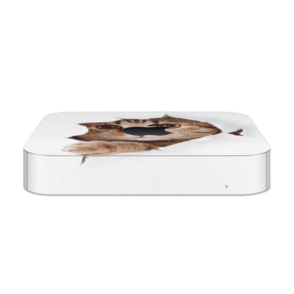 igsticker Mac mini 2018 ��p �}�b�N�~�j �f�U�C���X�L���V�[�� �t�� �X�e�b�J�[ �A�N�Z�T���[ �ی�V�[��  �L�@�����@�ʐ^ 002783