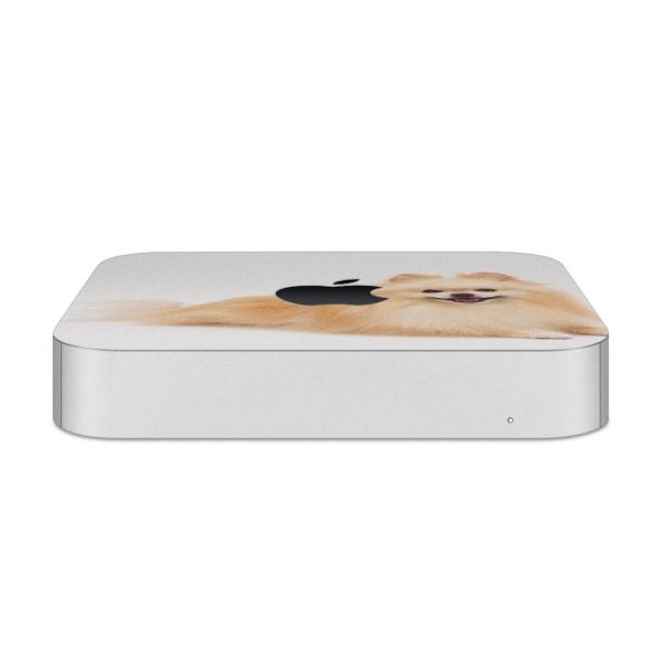 igsticker Mac mini 2018 ��p �}�b�N�~�j �f�U�C���X�L���V�[�� �t�� �X�e�b�J�[ �A�N�Z�T���[ �ی�V�[��  ���@�����@�ʐ^ 002911