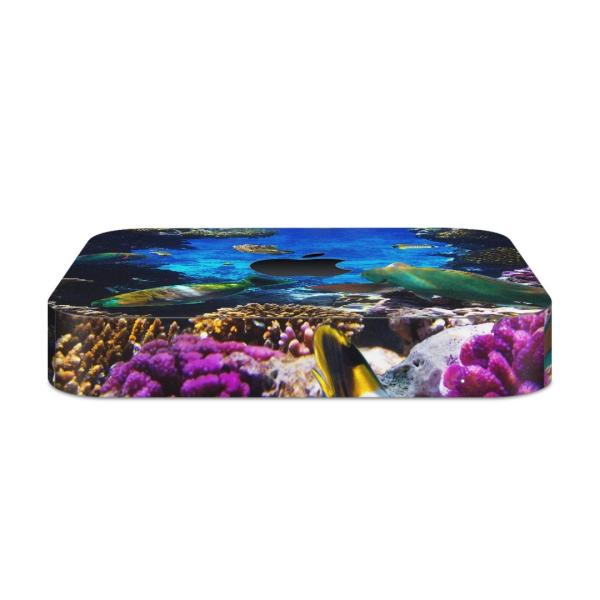 igsticker Mac mini 2018 ��p �}�b�N�~�j �f�U�C���X�L���V�[�� �t�� �X�e�b�J�[ �A�N�Z�T���[ �ی�V�[��  �C�@���@�ʐ^ 004493