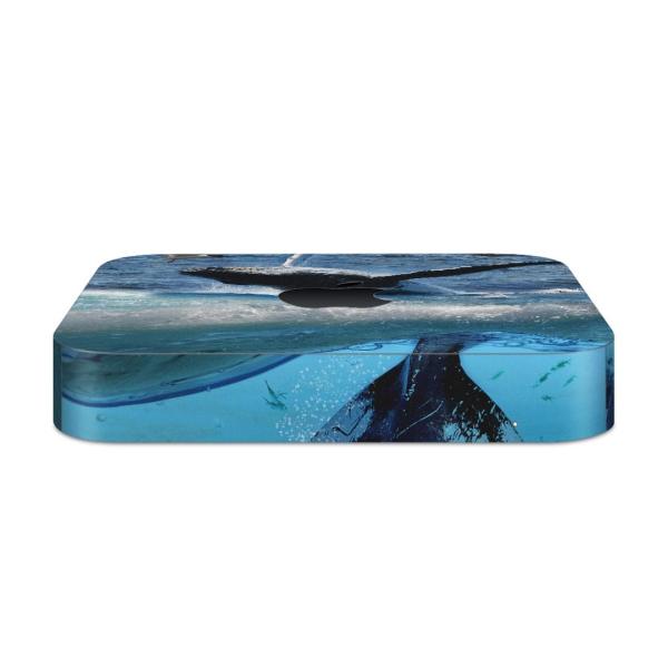 igsticker Mac mini 2018 ��p �}�b�N�~�j �f�U�C���X�L���V�[�� �t�� �X�e�b�J�[ �A�N�Z�T���[ �ی�V�[��  �C�@�~�@�ʐ^ 004897