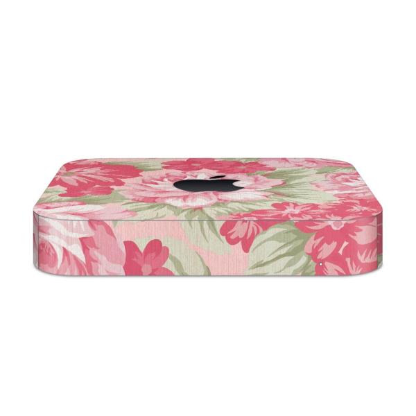 igsticker Mac mini 2018 ��p �}�b�N�~�j �f�U�C���X�L���V�[�� �t�� �X�e�b�J�[ �A�N�Z�T���[ �ی�V�[��  �ԁ@�s���N�@�C���X�g 004907