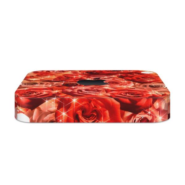 igsticker Mac mini 2018 ��p �}�b�N�~�j �f�U�C���X�L���V�[�� �t�� �X�e�b�J�[ �A�N�Z�T���[ �ی�V�[��  �K�N�@�ԁ@�ʐ^ 004966