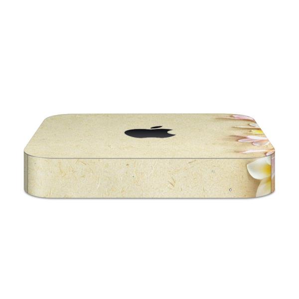 igsticker Mac mini 2018 ��p �}�b�N�~�j �f�U�C���X�L���V�[�� �t�� �X�e�b�J�[ �A�N�Z�T���[ �ی�V�[��  �ԁ@�t�����[�@�� 005105