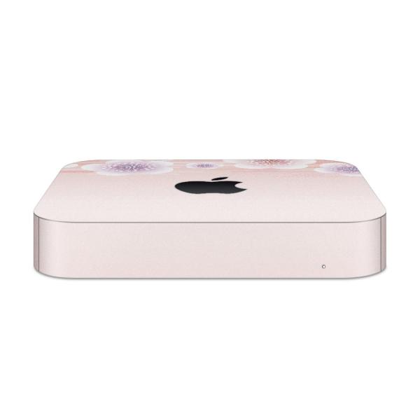 igsticker Mac mini 2018 ��p �}�b�N�~�j �f�U�C���X�L���V�[�� �t�� �X�e�b�J�[ �A�N�Z�T���[ �ی�V�[��  �ԁ@�s���N�@�a�� 005112