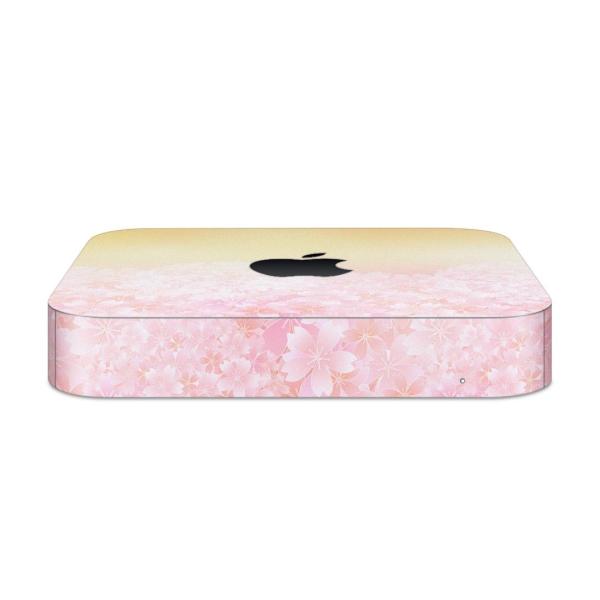 igsticker Mac mini 2018 ��p �}�b�N�~�j �f�U�C���X�L���V�[�� �t�� �X�e�b�J�[ �A�N�Z�T���[ �ی�V�[��  ���@�s���N�@�I�����W 005306