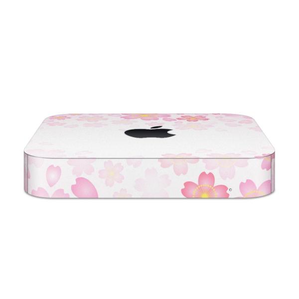 igsticker Mac mini 2018 ��p �}�b�N�~�j �f�U�C���X�L���V�[�� �t�� �X�e�b�J�[ �A�N�Z�T���[ �ی�V�[��  ���@�s���N�@�C���X�g 005307