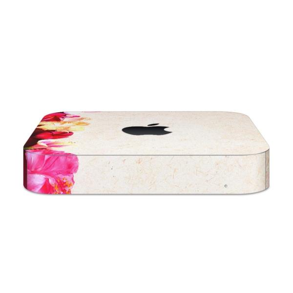 igsticker Mac mini 2018 ��p �}�b�N�~�j �f�U�C���X�L���V�[�� �t�� �X�e�b�J�[ �A�N�Z�T���[ �ی�V�[��  �ԁ@�n�C�r�X�J�X�@�s���N 005324