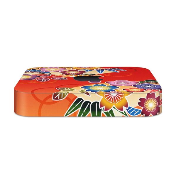 igsticker Mac mini 2018 p }bN~j fUCXLV[ t XebJ[ ANZT[ یV[  ԁ@t[@a@a 005624