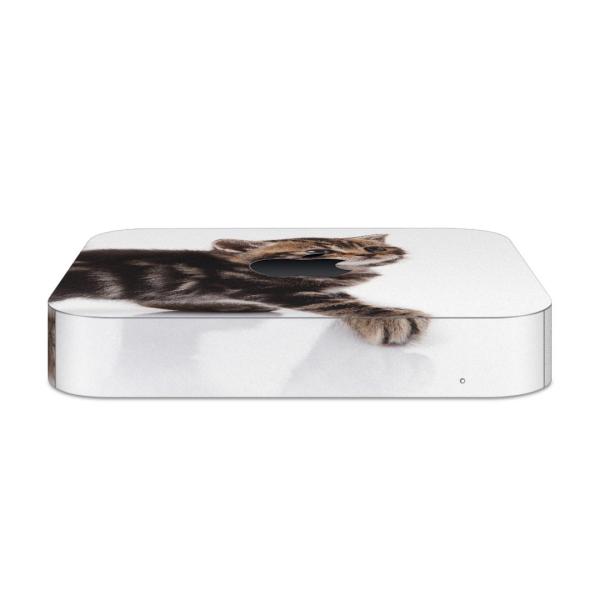 igsticker Mac mini 2018 ��p �}�b�N�~�j �f�U�C���X�L���V�[�� �t�� �X�e�b�J�[ �A�N�Z�T���[ �ی�V�[��  �ʐ^�@�����@�L�@�˂� 005930