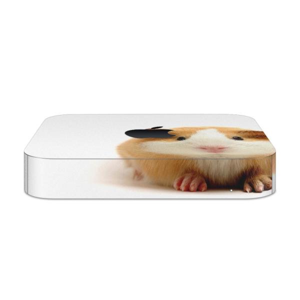 igsticker Mac mini 2018 ��p �}�b�N�~�j �f�U�C���X�L���V�[�� �t�� �X�e�b�J�[ �A�N�Z�T���[ �ی�V�[��  �ʐ^�@�����@�n���X�^�[ 006036
