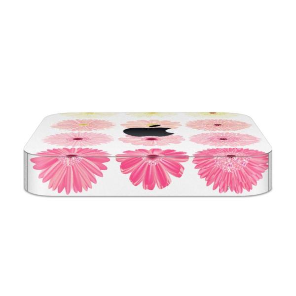 igsticker Mac mini 2018 ��p �}�b�N�~�j �f�U�C���X�L���V�[�� �t�� �X�e�b�J�[ �A�N�Z�T���[ �ی�V�[��  �ԁ@�t�����[�@�s���N�@�C���X�g 007890