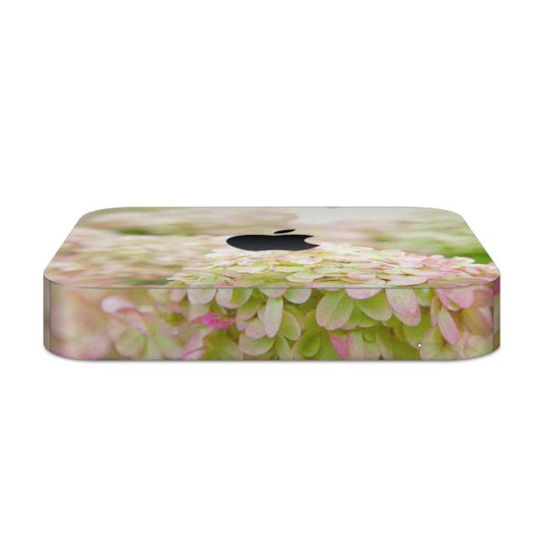 igsticker Mac mini 2018 ��p �}�b�N�~�j �f�U�C���X�L���V�[�� �t�� �X�e�b�J�[ �A�N�Z�T���[ �ی�V�[��  �ʐ^�@�ԁ@�t�����[ 008513