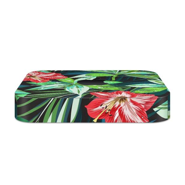 igsticker Mac mini 2018 p }bN~j fUCXLV[ t XebJ[ ANZT[ یV[  nCrXJX@ԁ@A 012049