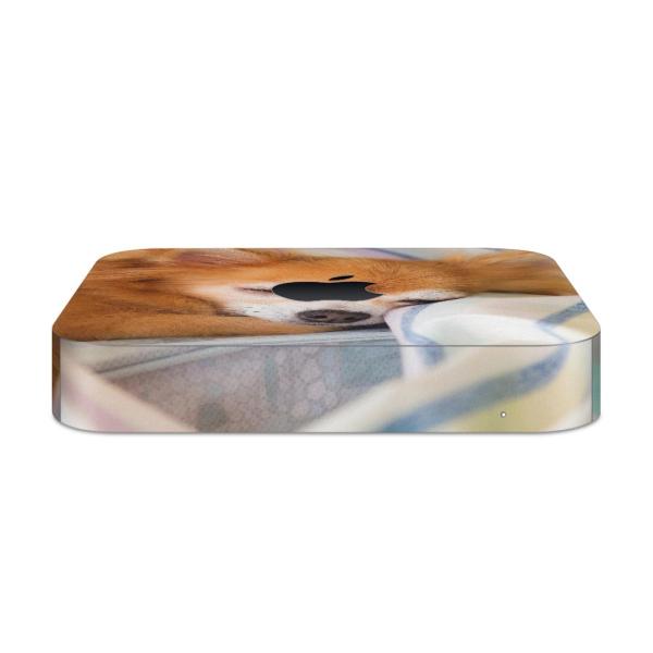 igsticker Mac mini 2018 p }bN~j fUCXLV[ t XebJ[ ANZT[ یV[  @`@ʐ^ 014826